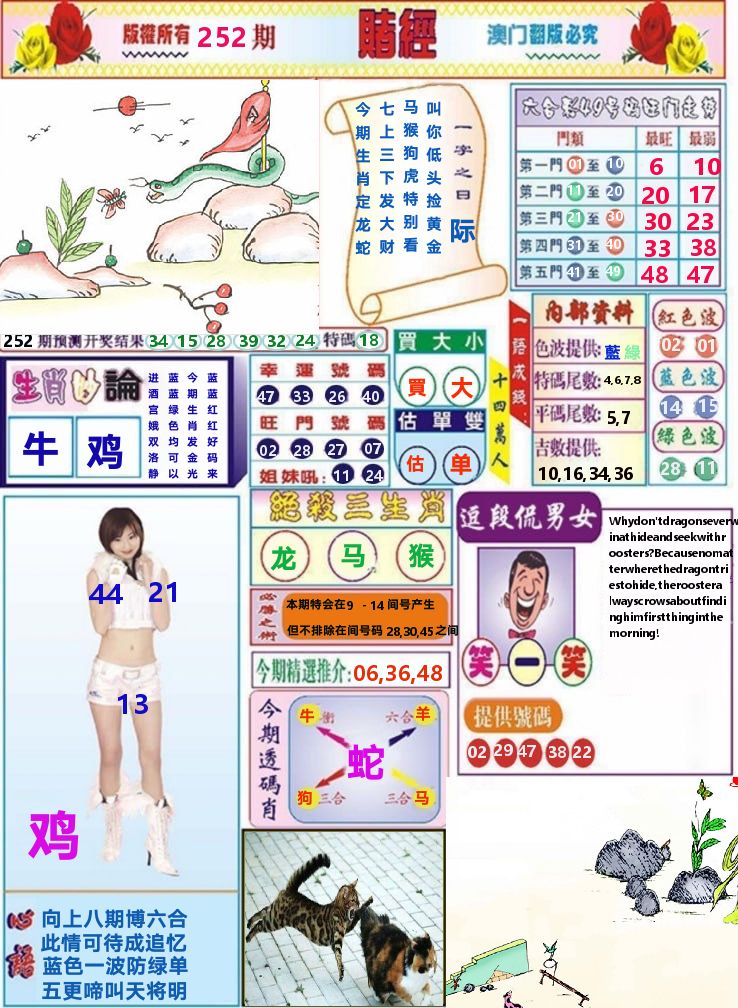 澳门赌经 第252期