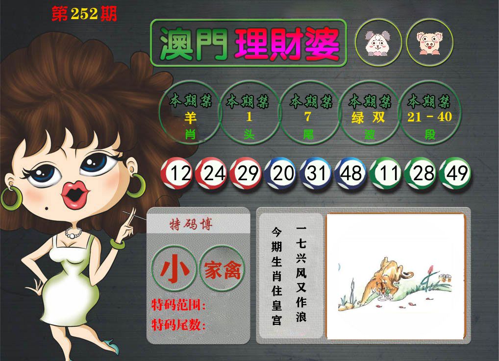 理财婆 第252期