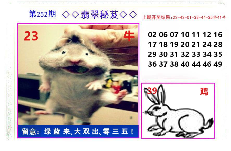 翡翠秘芨 第252期