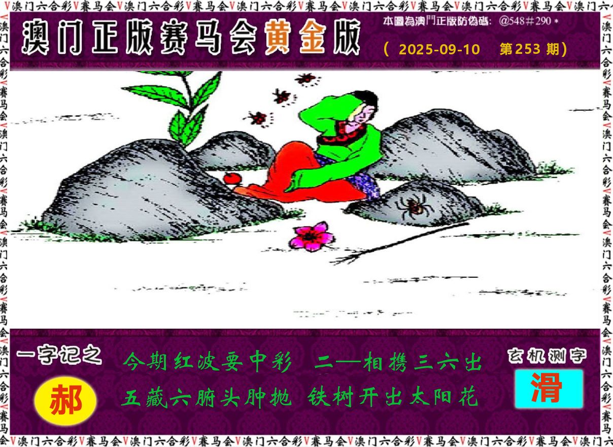 赛马会黄金版 第253期