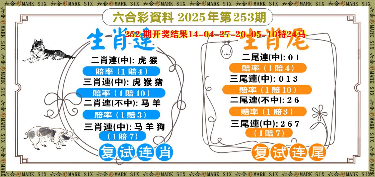 复试连 第253期