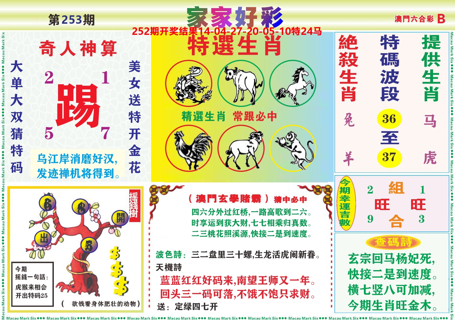 家家好彩B 第253期