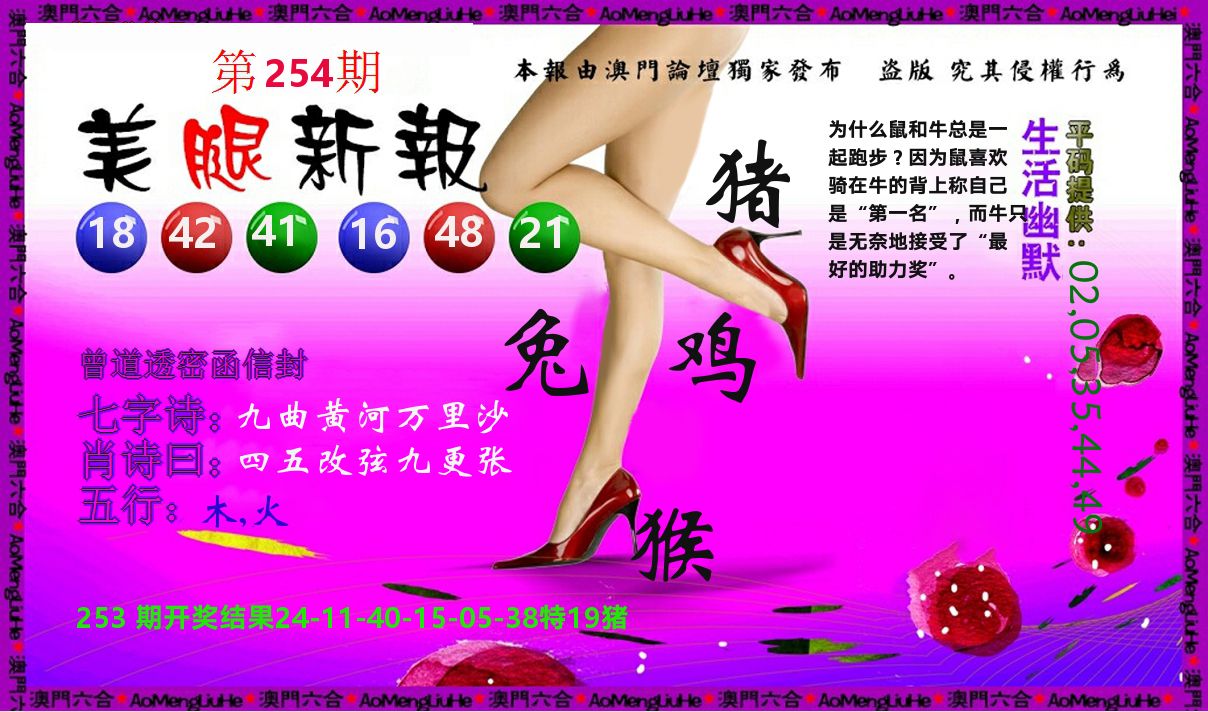 美腿新报 第254期