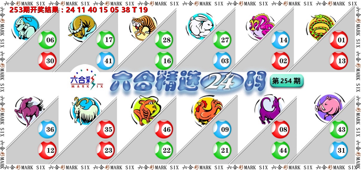 六合精选24码 第254期