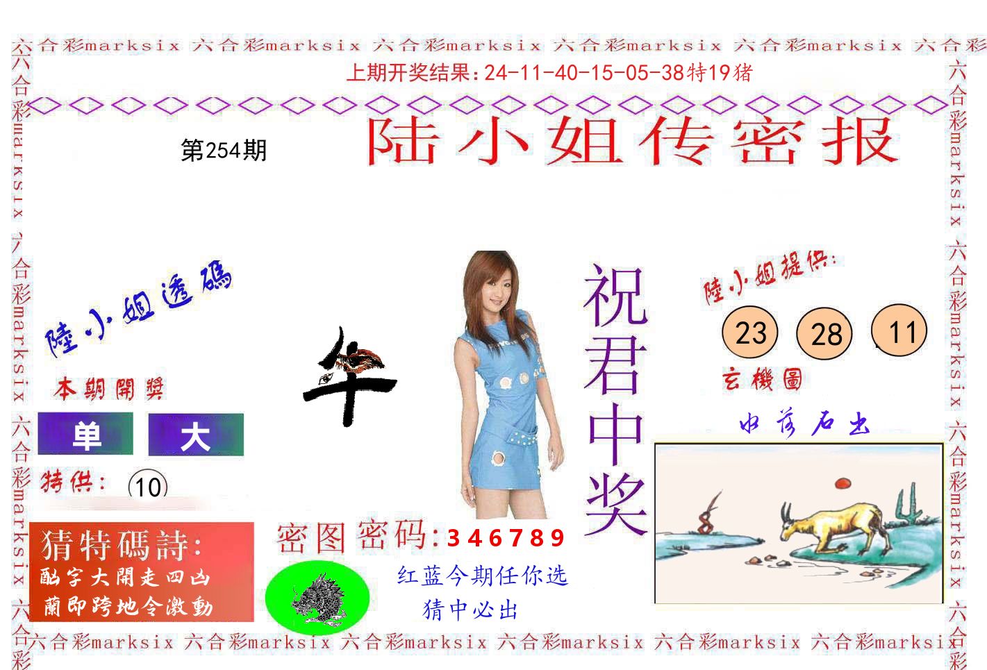 陆小姐密报 第254期
