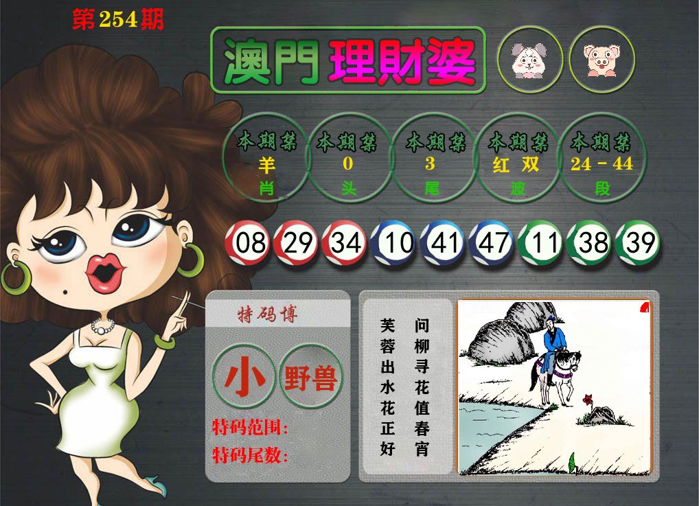理财婆 第254期