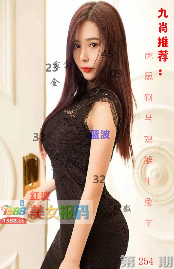美女报码 第254期
