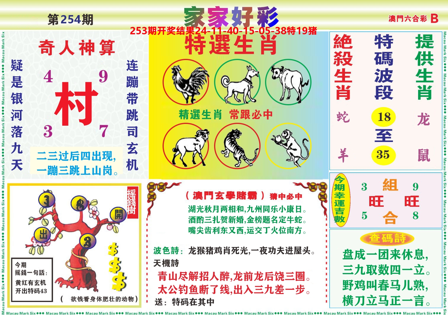 家家好彩B 第254期