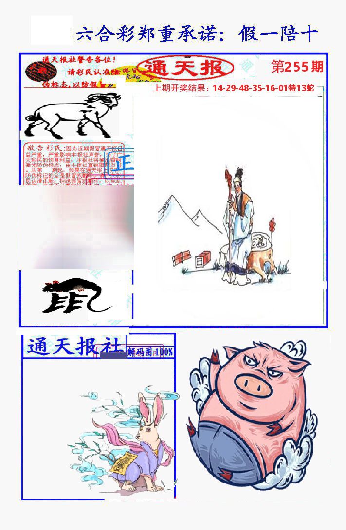 通天报 第255期