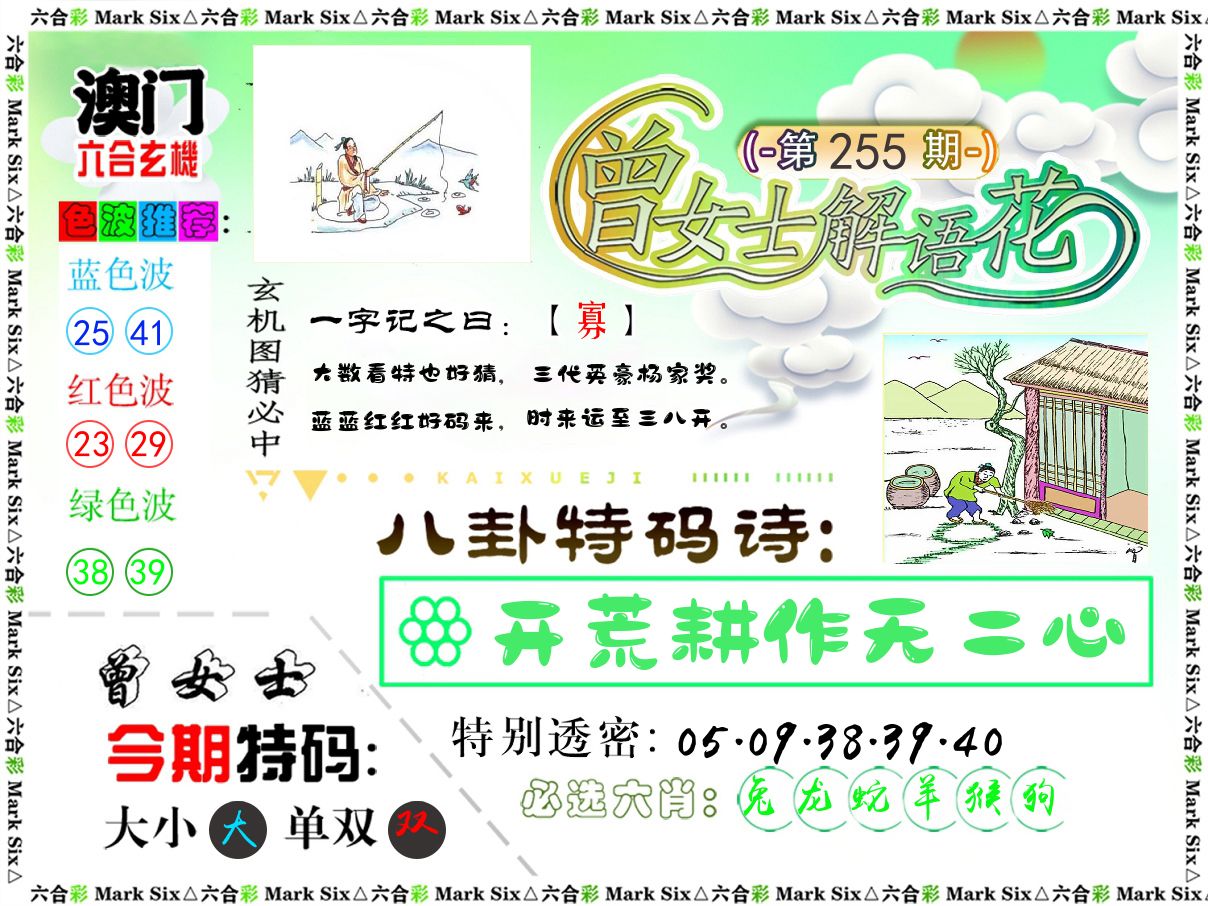 曾女士解语花 第255期