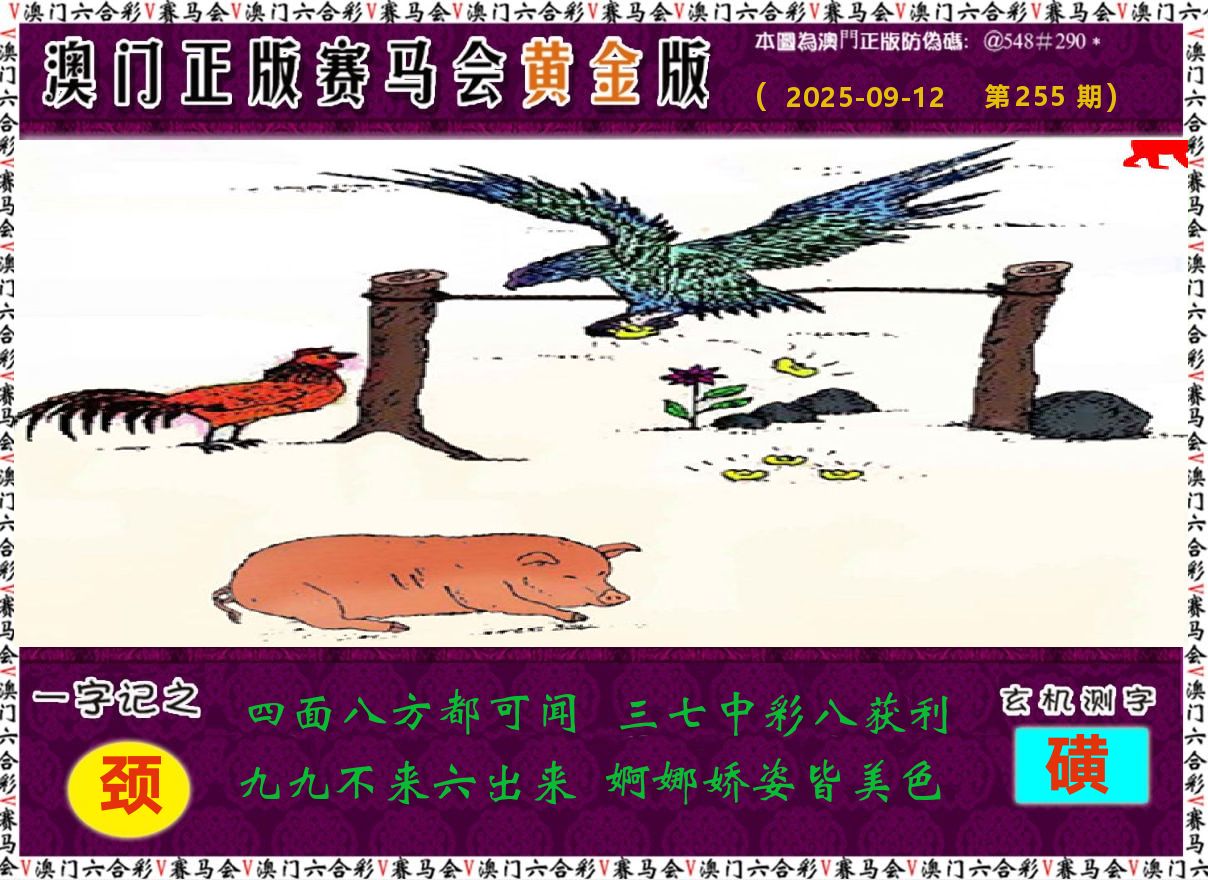 赛马会黄金版 第255期