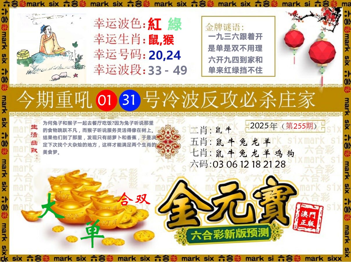 金元宝 第255期