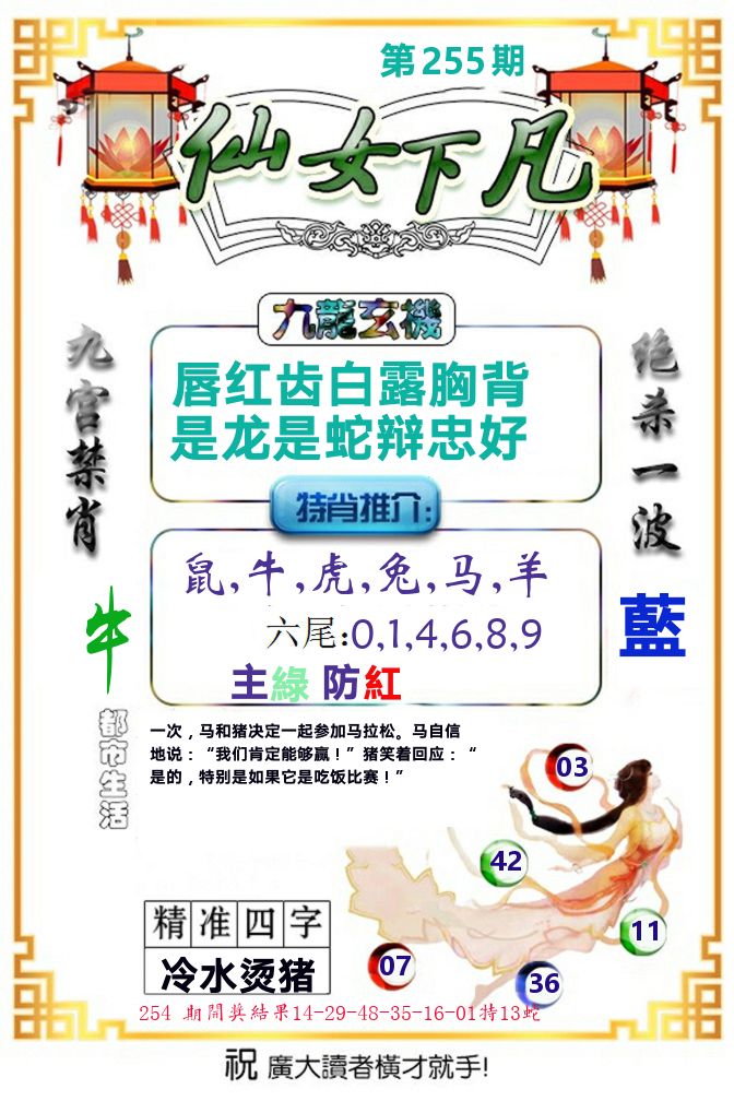 仙女下凡 第255期