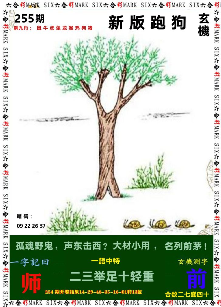 悟入其图 第255期