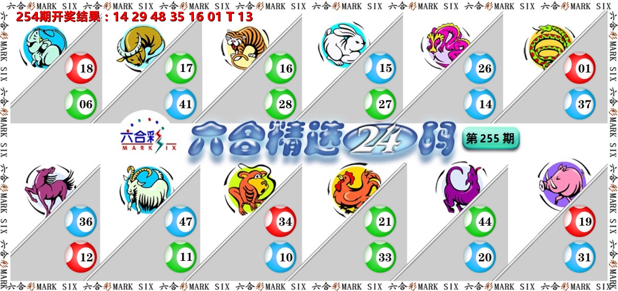 六合精选24码 第255期