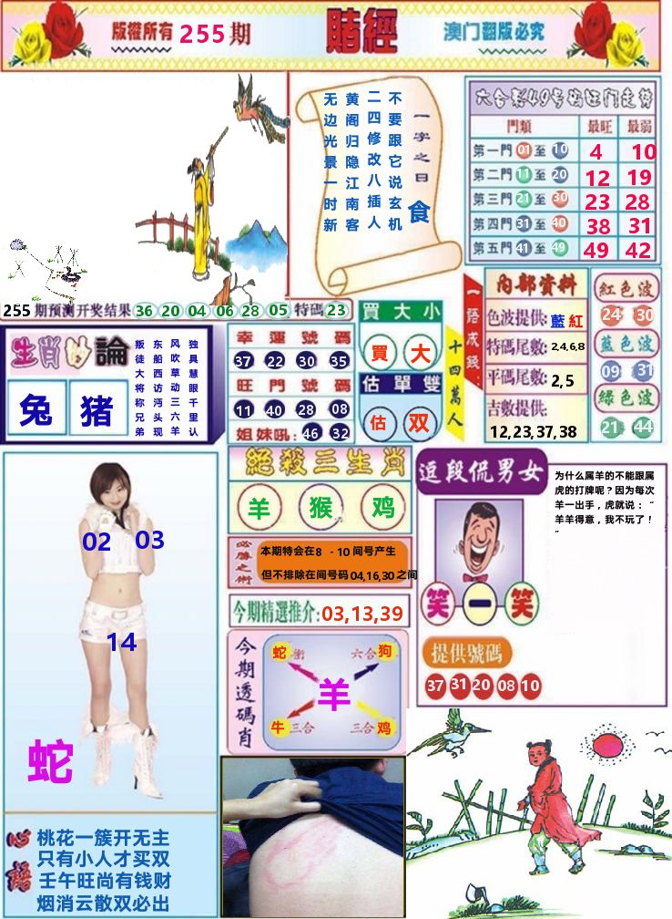 澳门赌经 第255期