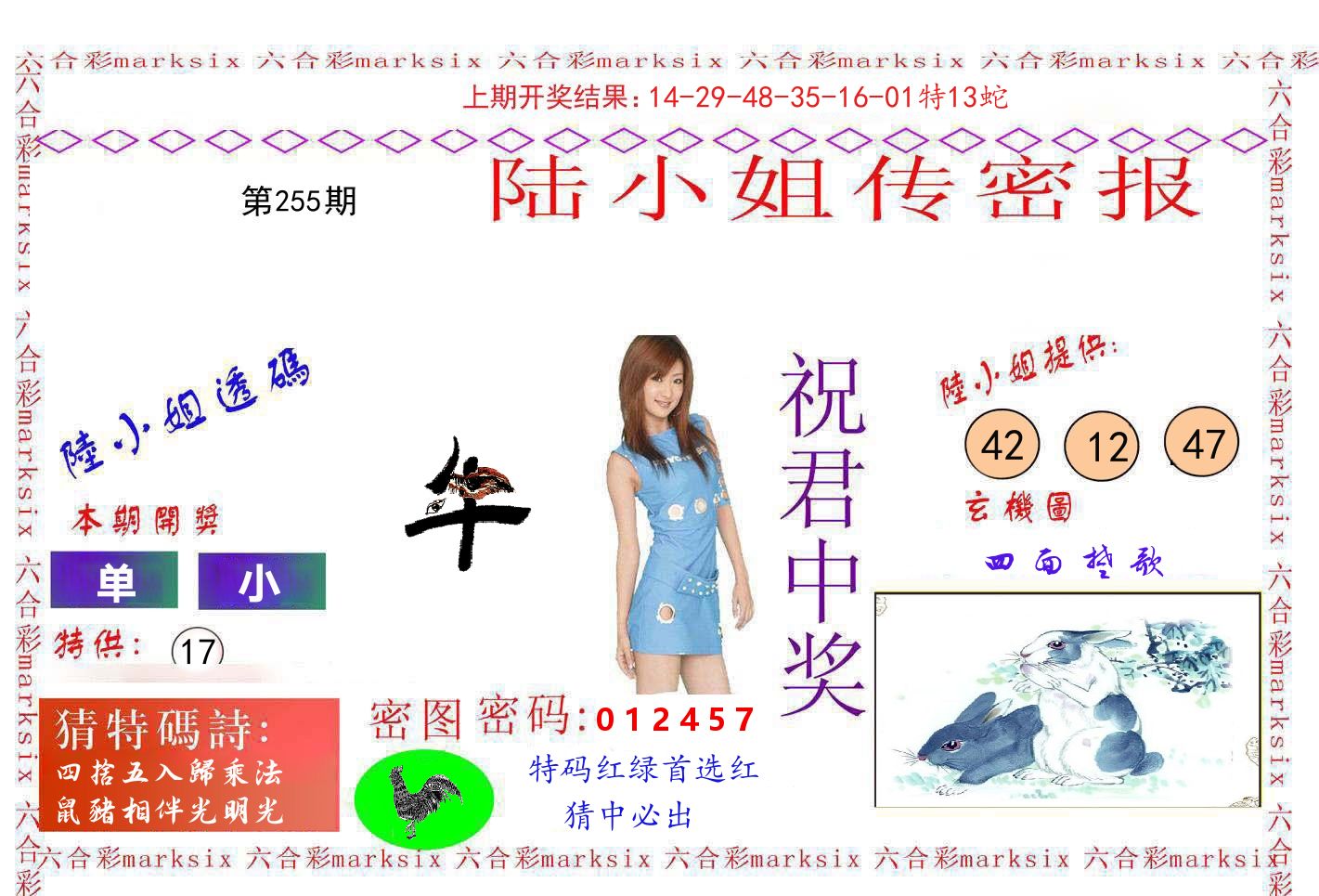 陆小姐密报 第255期