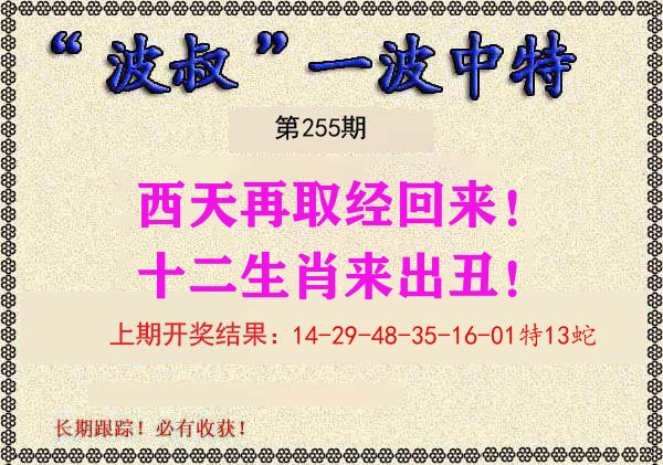 波叔中特 第255期