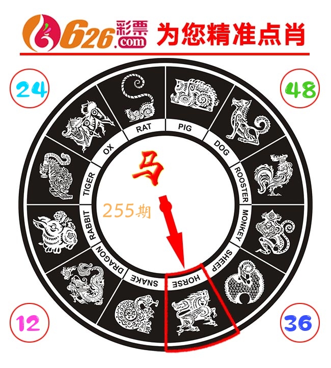 精准点肖 第255期