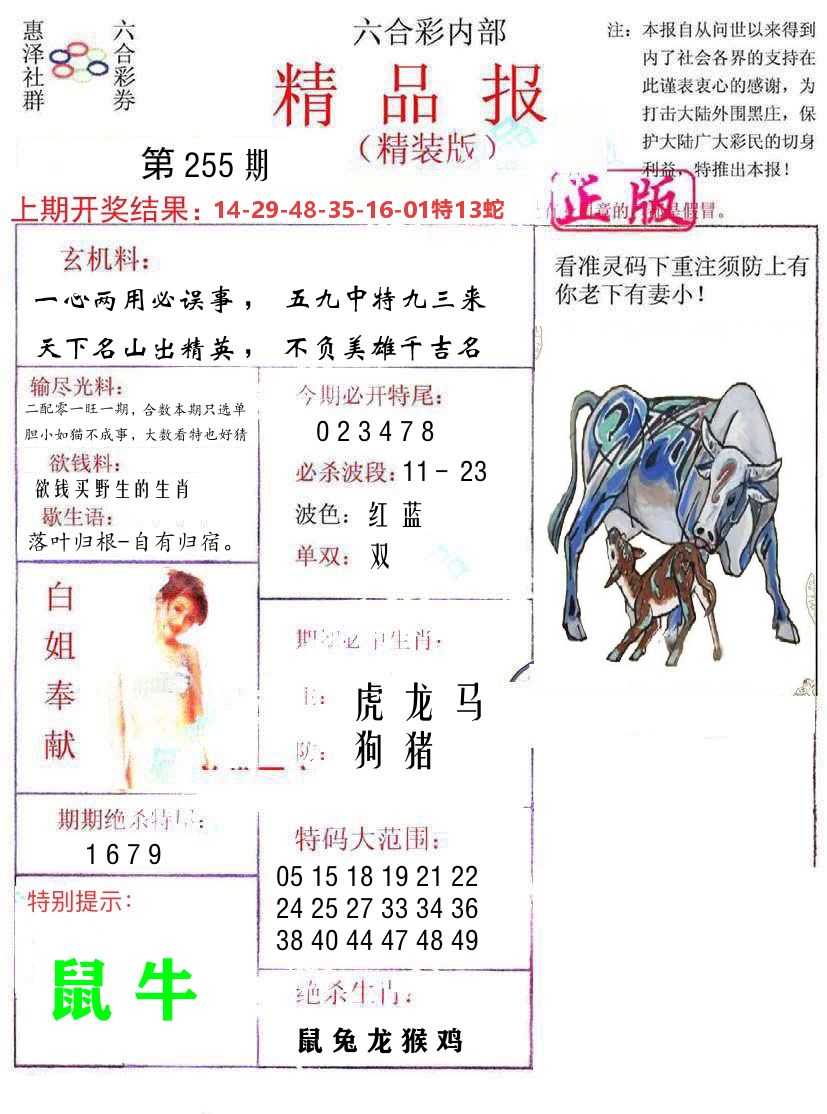 精品报 第255期