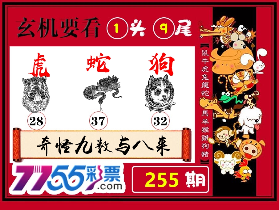 玄机要看 第255期