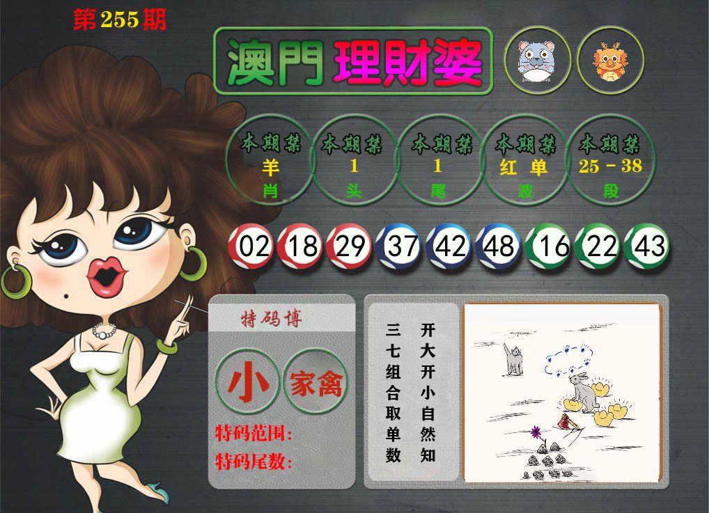 理财婆 第255期