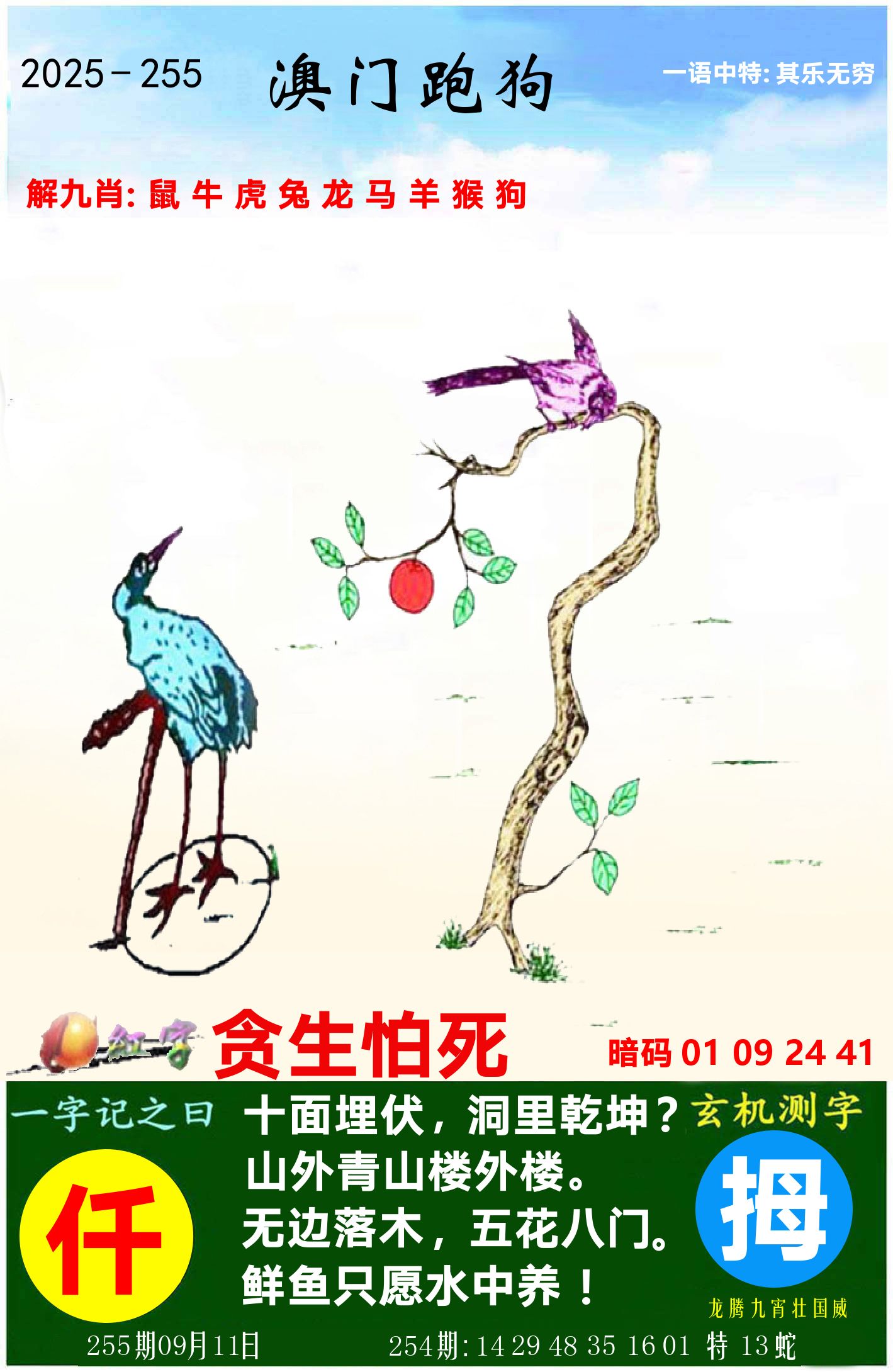 澳门跑狗图 第255期