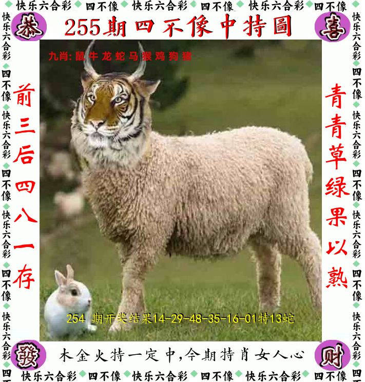四不像 第255期