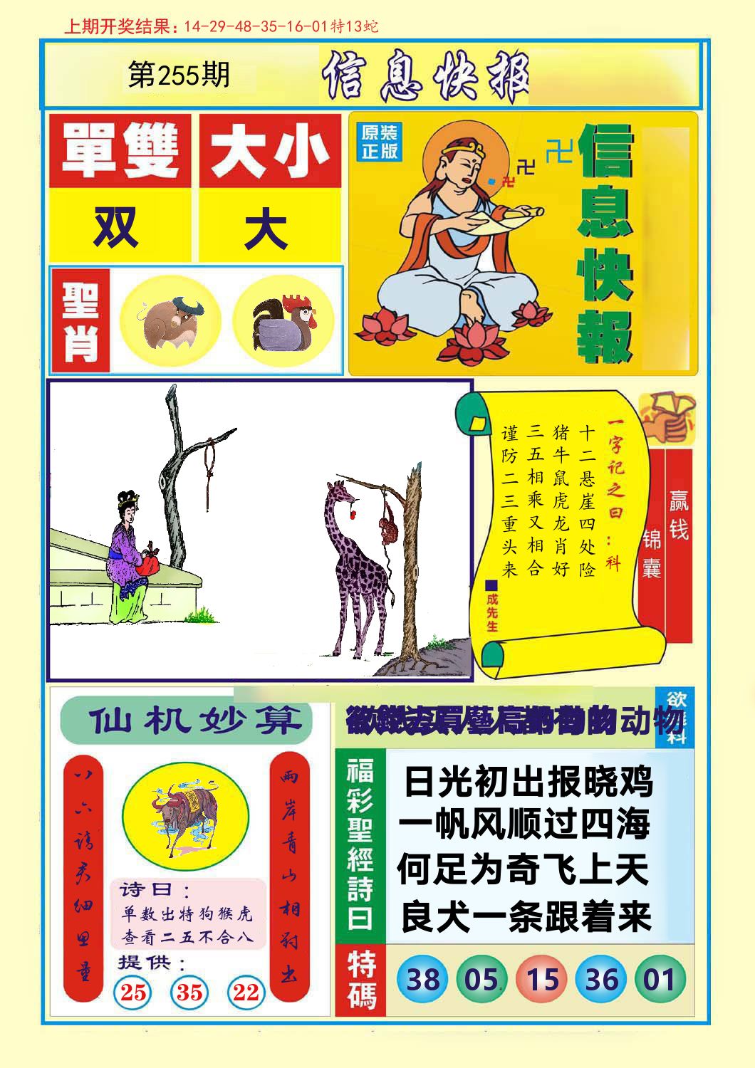 信息快报 第255期