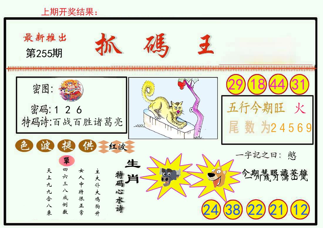 最新抓码王 第255期