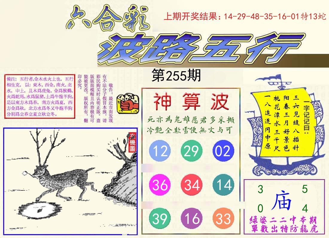波路五行 第255期