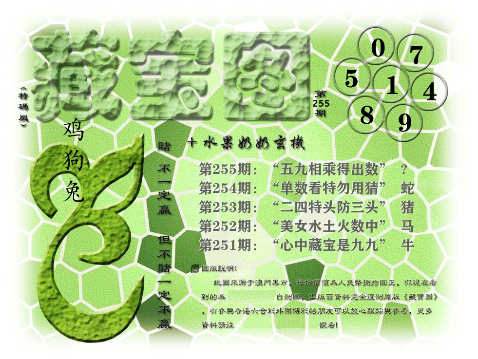 藏宝图奶奶玄机 第255期