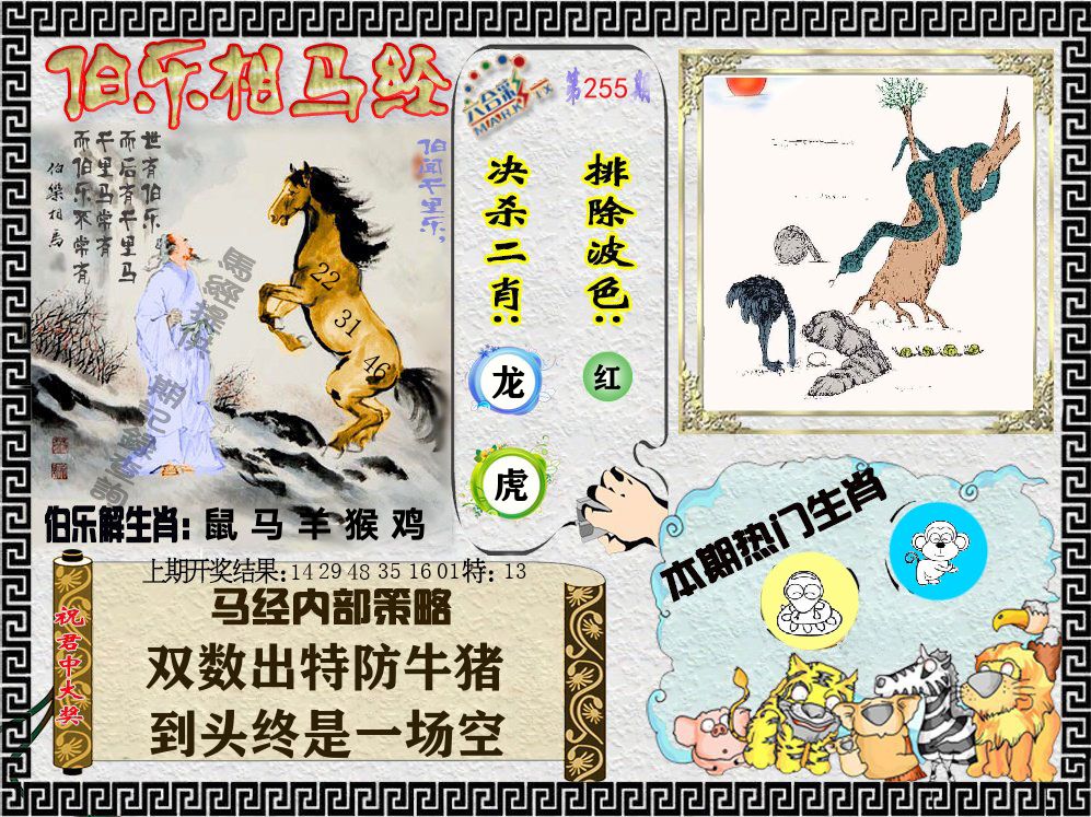 伯乐相马经 第255期