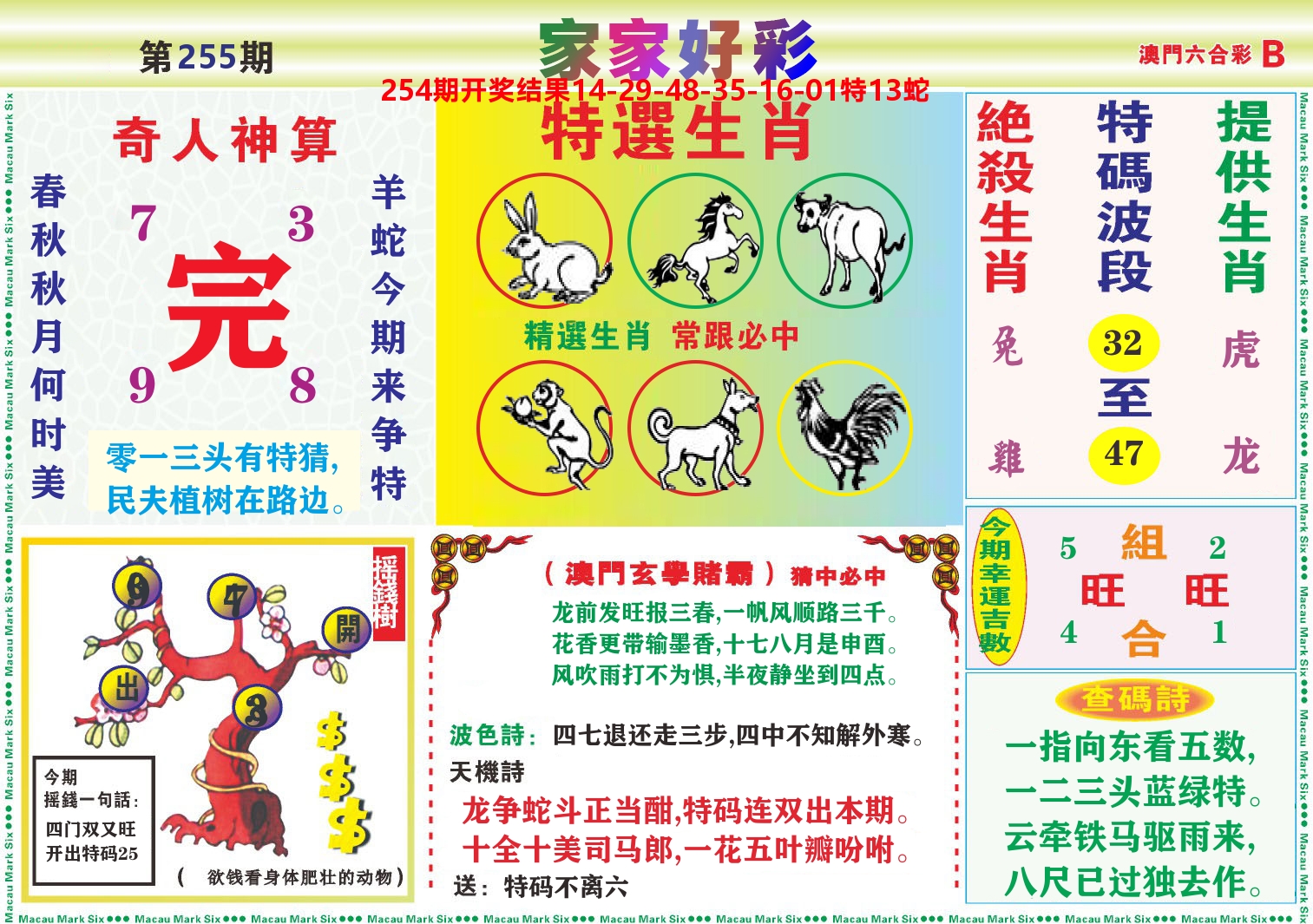 家家好彩B 第255期