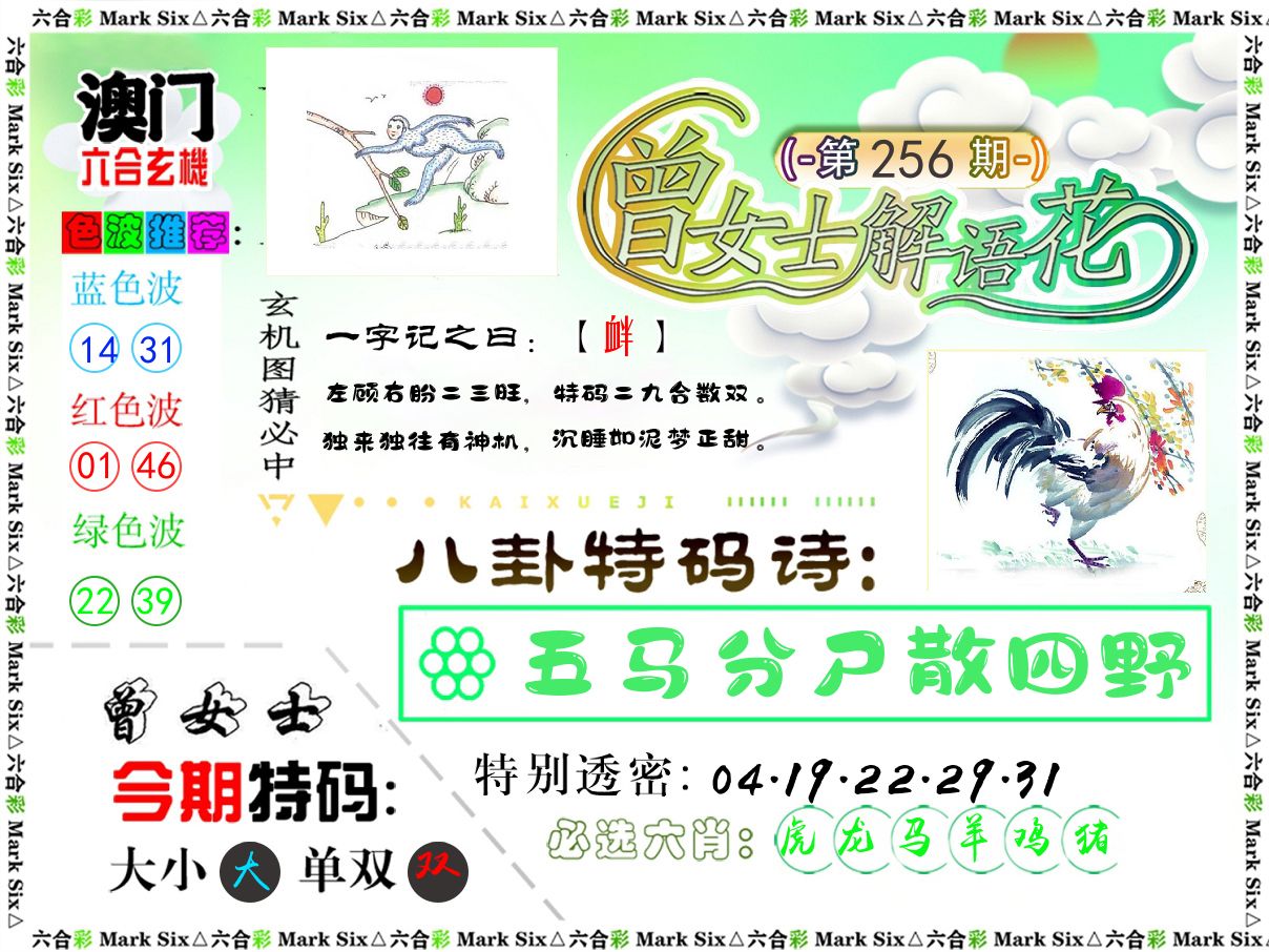 曾女士解语花 第256期