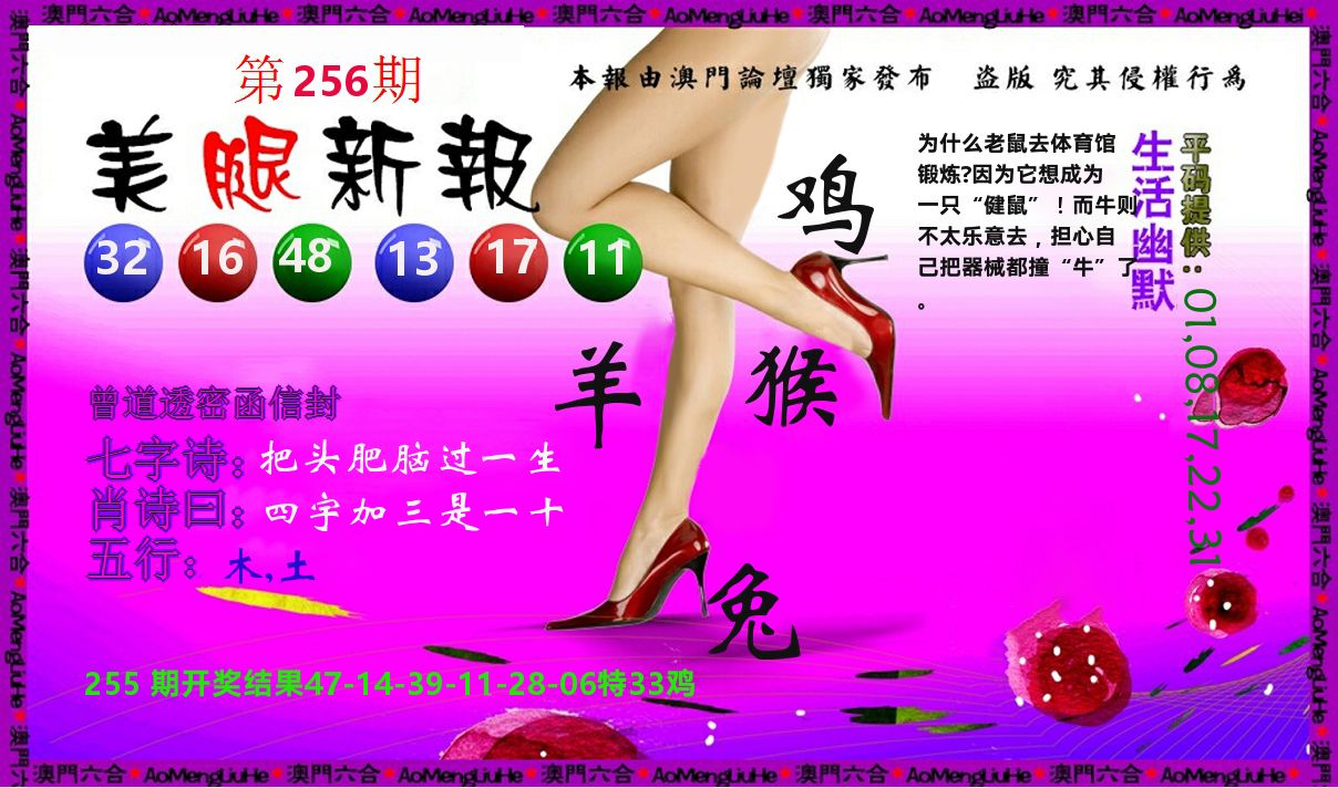 美腿新报 第256期