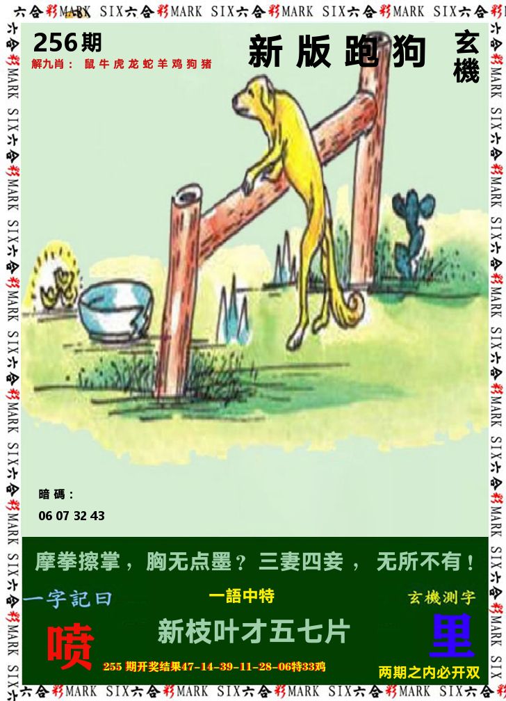 悟入其图 第256期