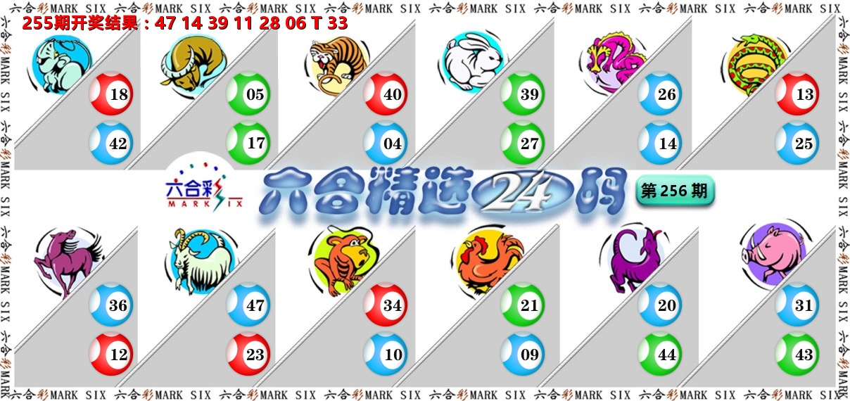 六合精选24码 第256期
