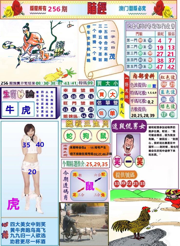 澳门赌经 第256期