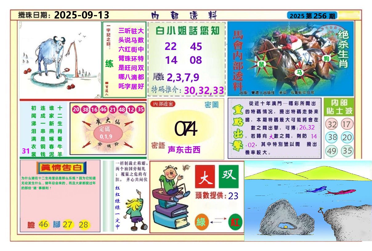 澳门内部透料A 第256期