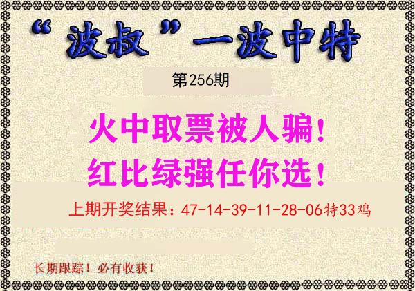 波叔中特 第256期