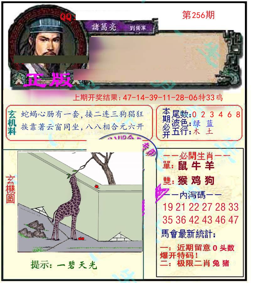 诸葛亮玄机 第256期