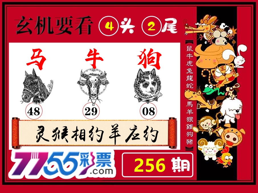 玄机要看 第256期