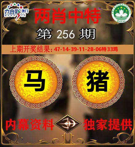 两肖中特 第256期