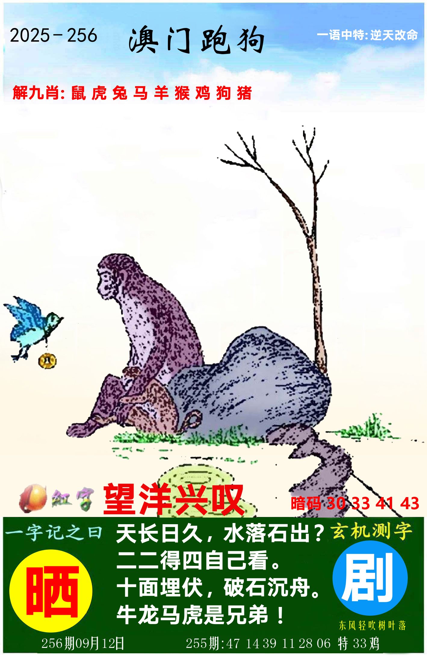 澳门跑狗图 第256期