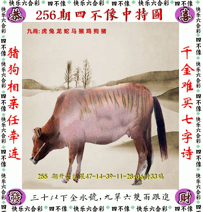 四不像 第256期