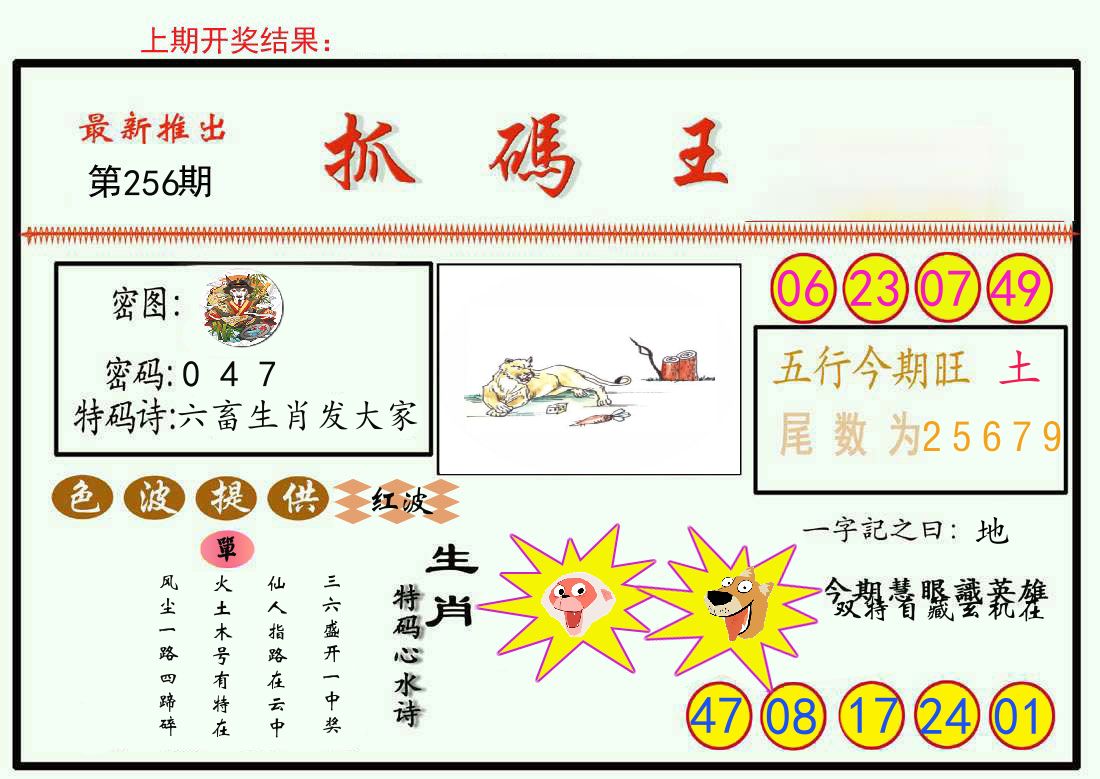 最新抓码王 第256期