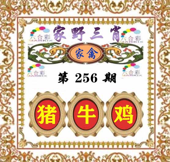 家野三肖 第256期