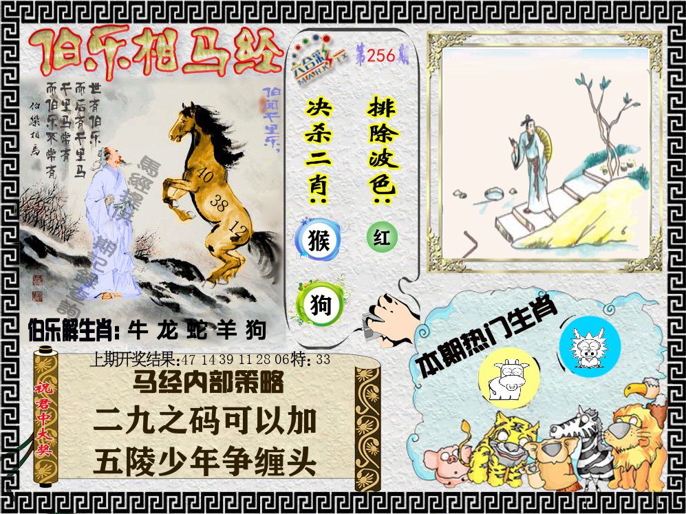 伯乐相马经 第256期