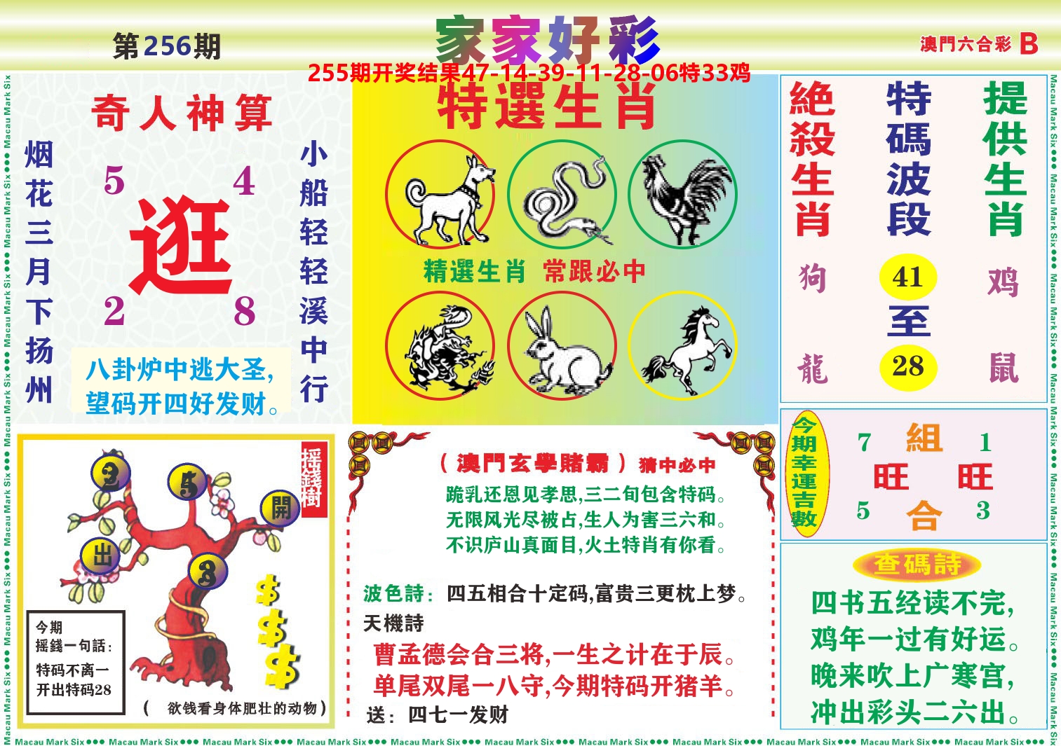 家家好彩B 第256期